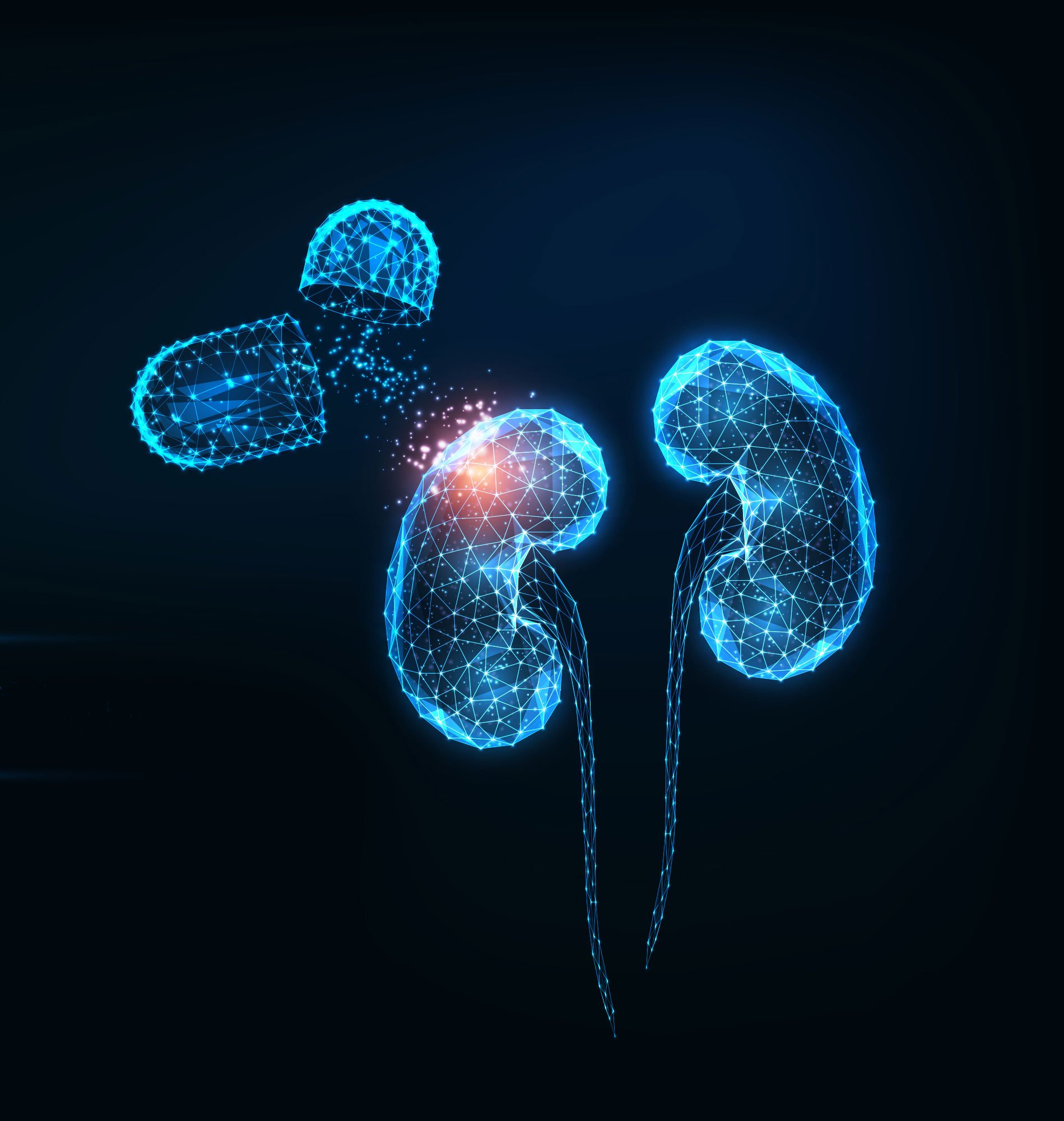 kidney_therapy_Web