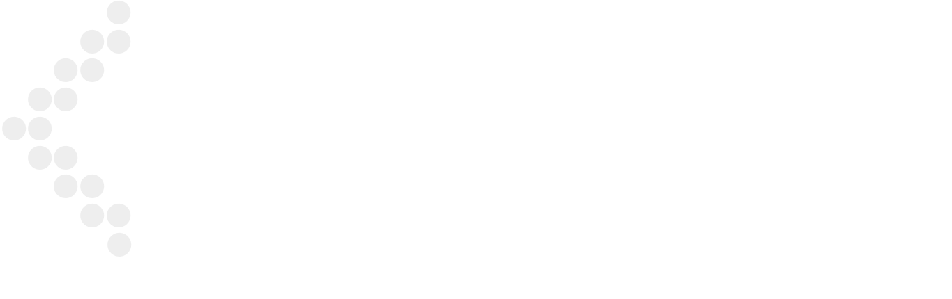 Navidence_Logo_White